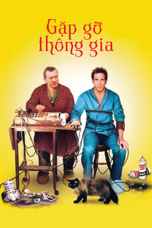Gặp Gỡ Thông Gia 2000