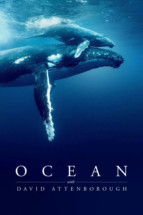 Ocean With David Attenborough 2025