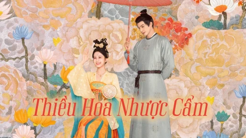 Thiều Hoa Nhược Cẩm 2025